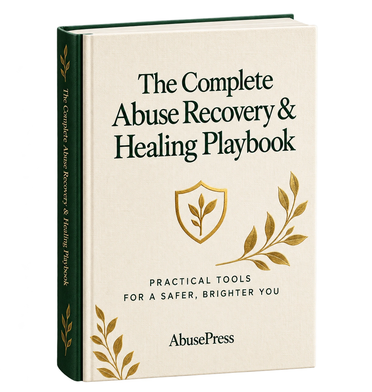 The Complete Abuse Recovery and Healing Playbook illustrated cover